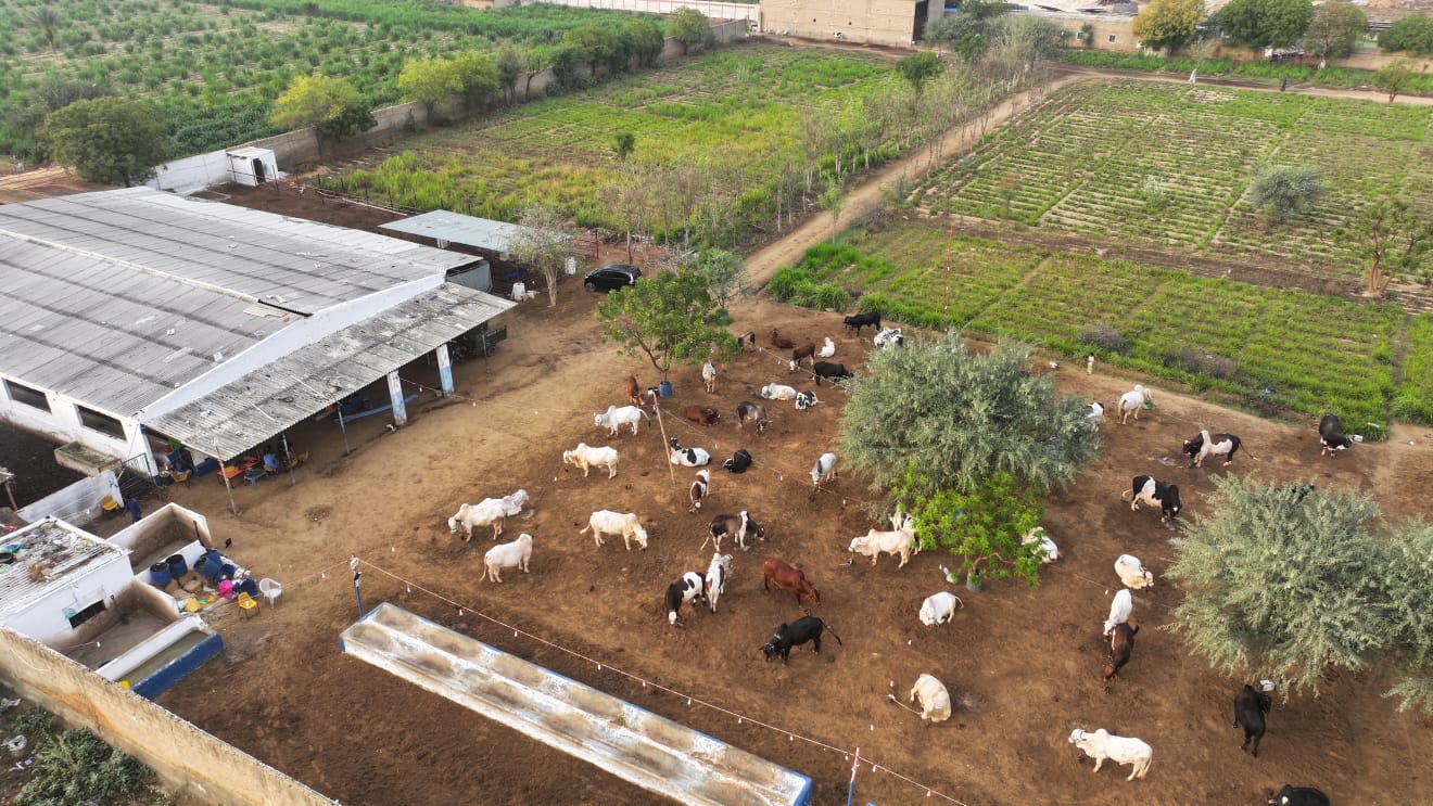 Organic Agriculture